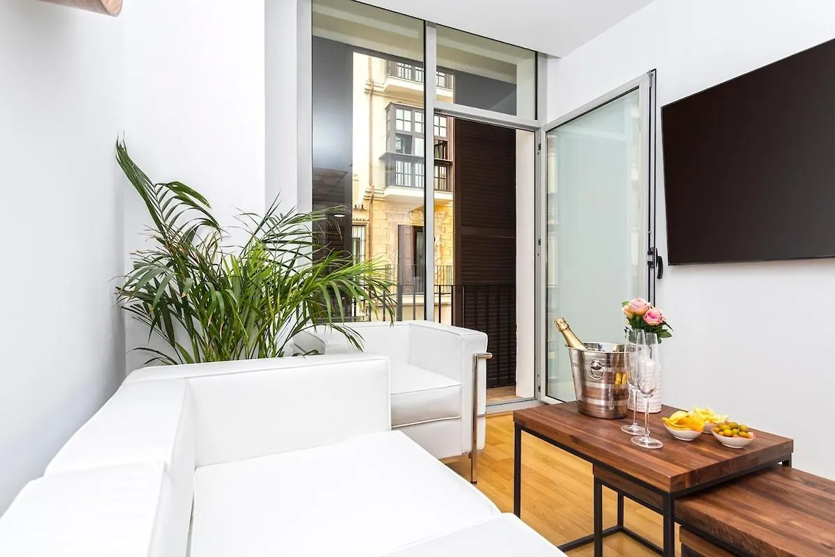 -Malagasunapts- Fashion Historical City Centre 0*, Malaga Spain